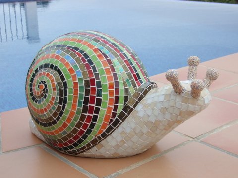 Meri's snail