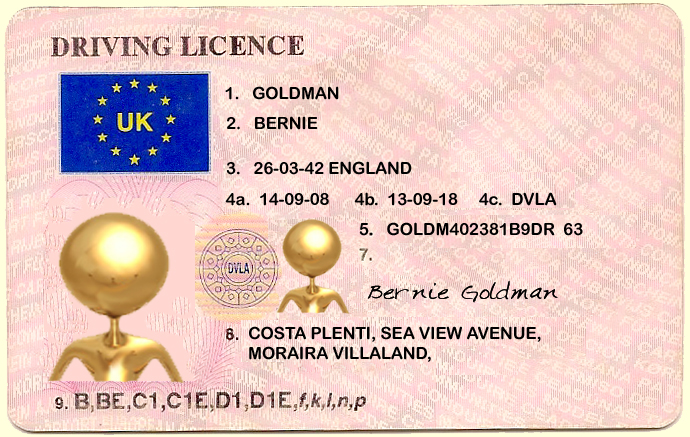 Driving licence