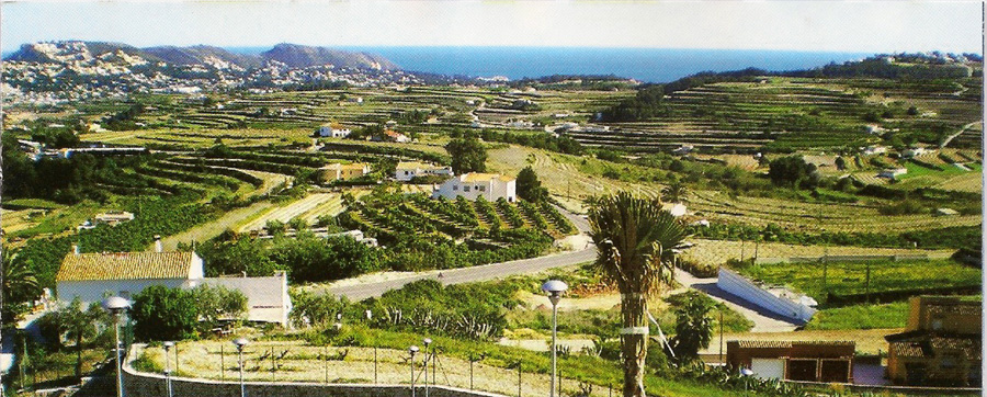 View from the lounge