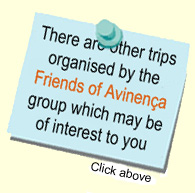 Friends of Avinença