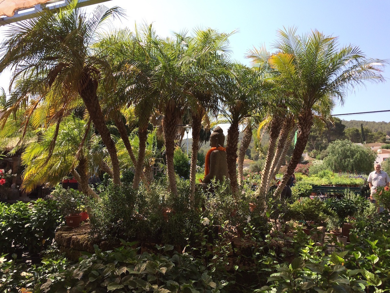 Contact Gardening Group Leader