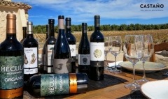 Wine Group Trip to Bodegas Castaño in Yecla