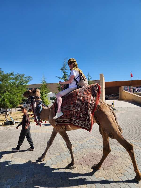 Trip Report – Turkey Sept 2025